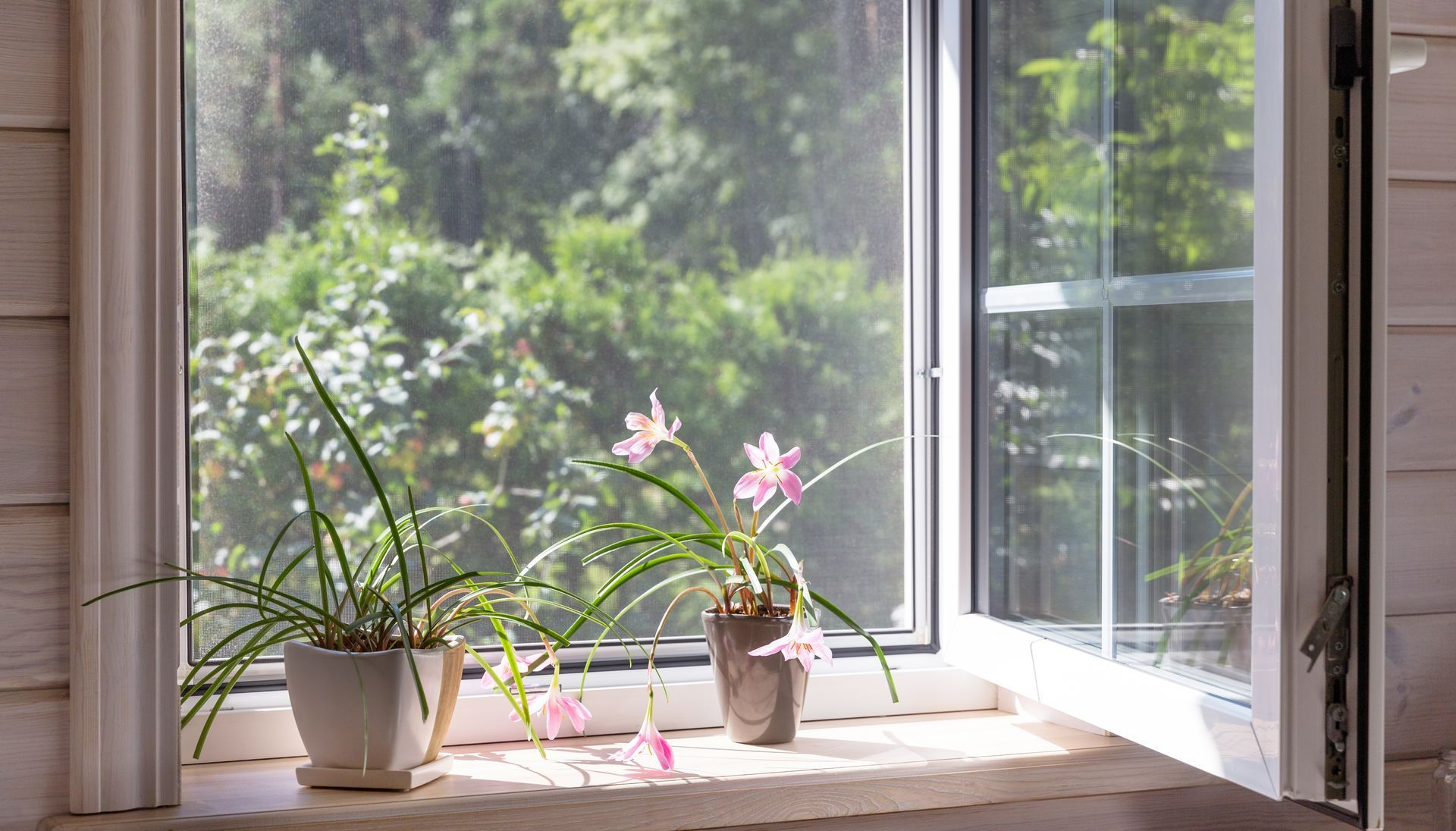 Fenêtre PVC plante et fleurs