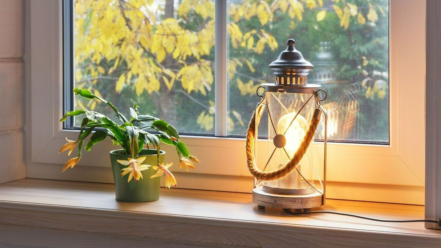 Fenêtre PVC plante et lumière