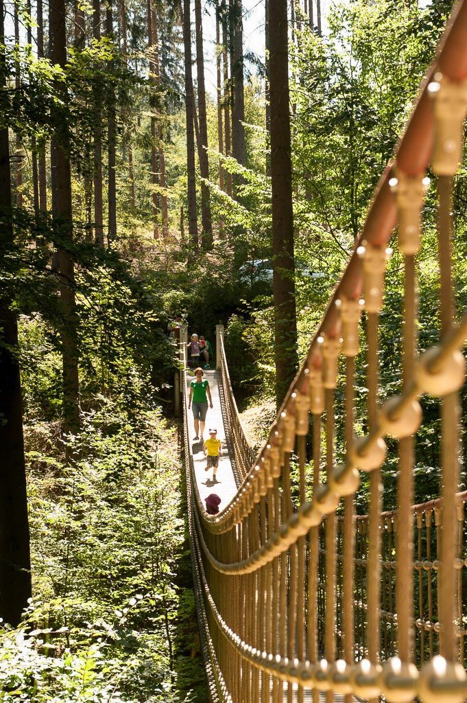 Hängebrücke auf dem Binger Wald-Erlebnispfad