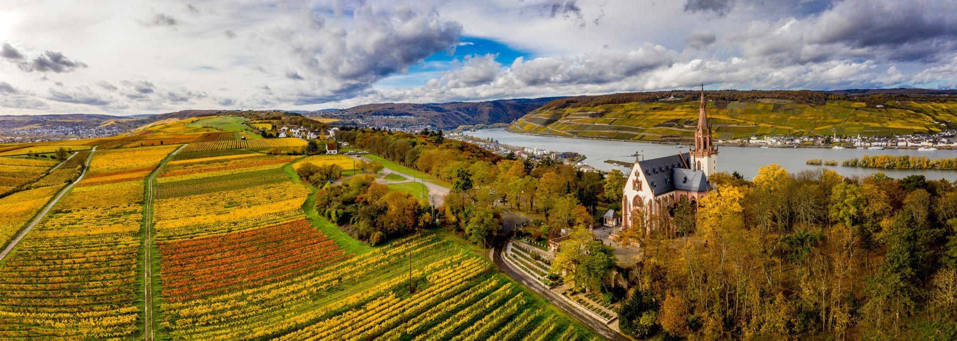 Weinberge am Rhein bei Bingen