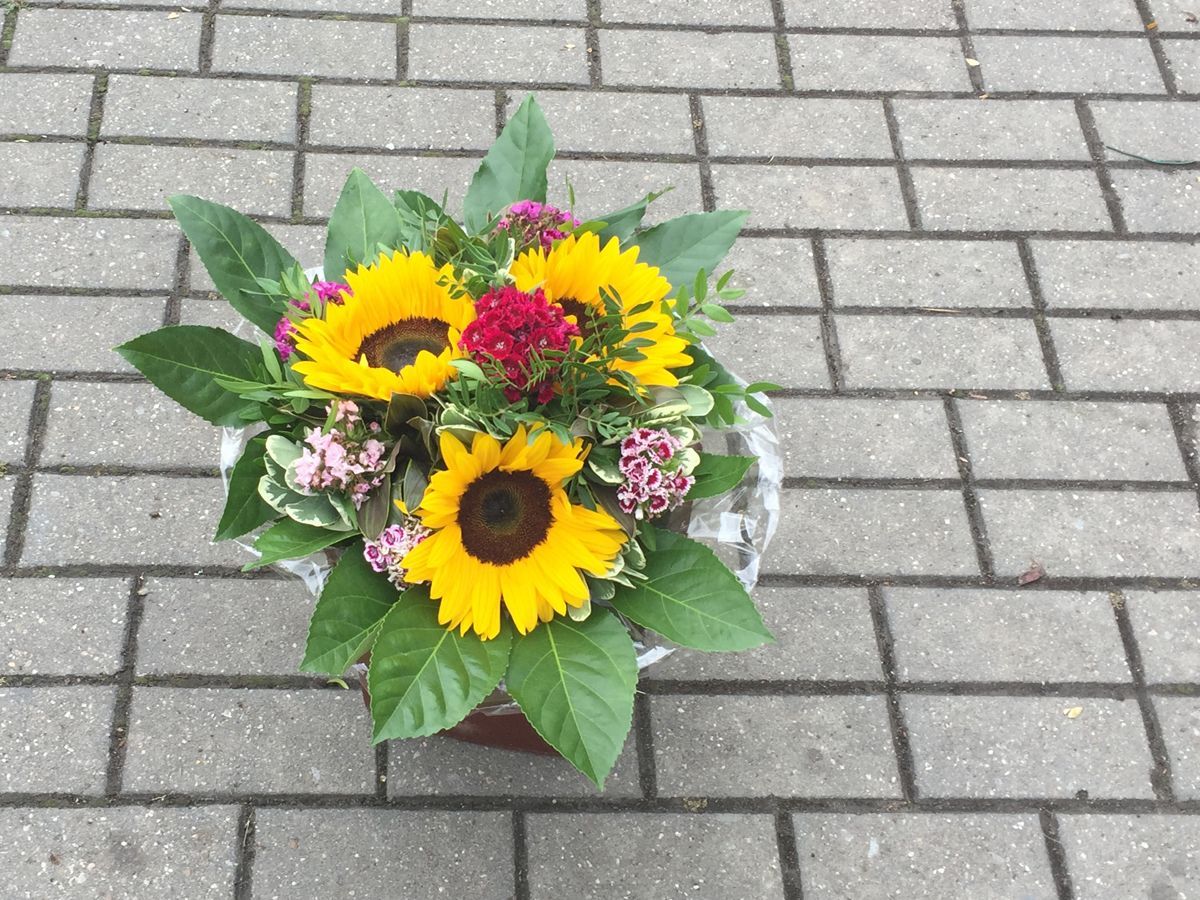 Blumenstrauß aus Sonnenblumen