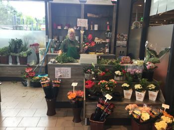 Gärtnerei Kujath im REWE Kaeseler