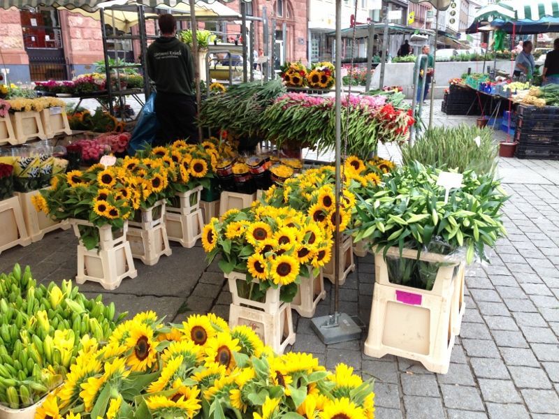 Wochenmarkt Dortmund