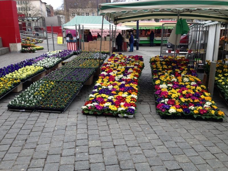 Wochenmarkt Dortmund