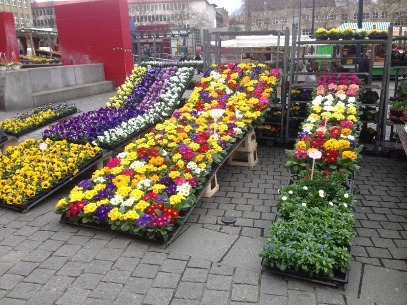 Wochenmarkt Dortmund