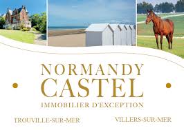 Logo Normandy Castel