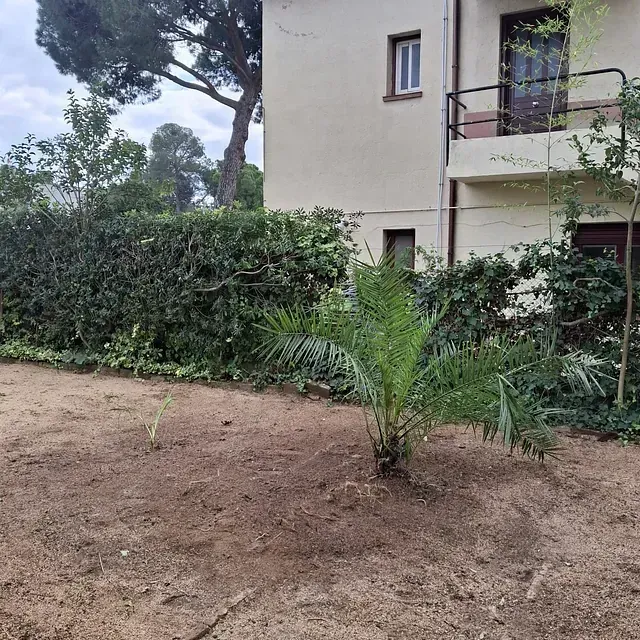 Una casa con un balcón y una palmera delante.