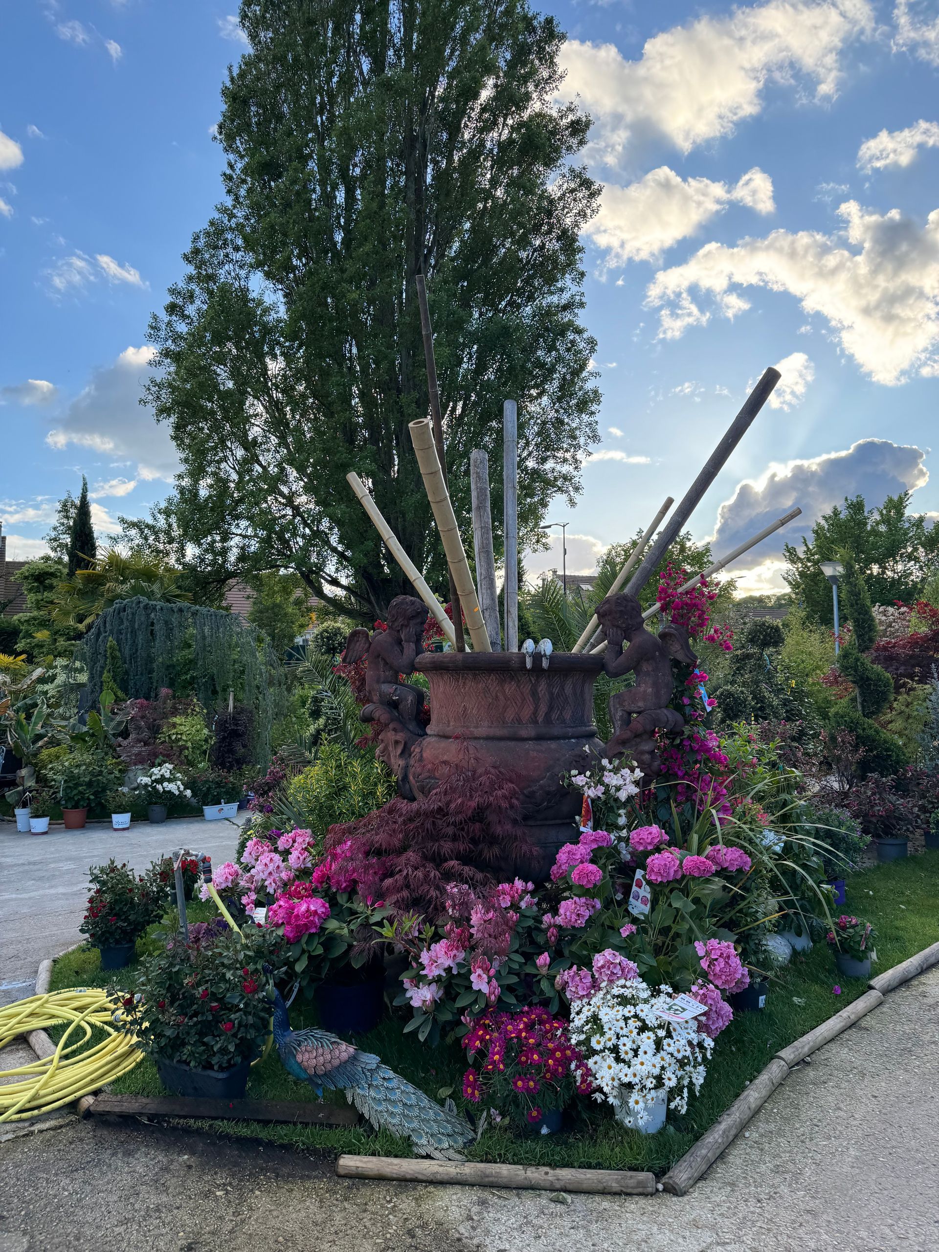 Tonneau dans un parterre de fleurs