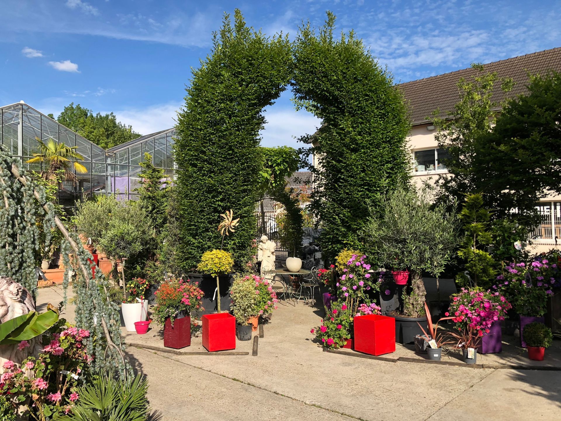 Arche végétale dans une allée extérieure