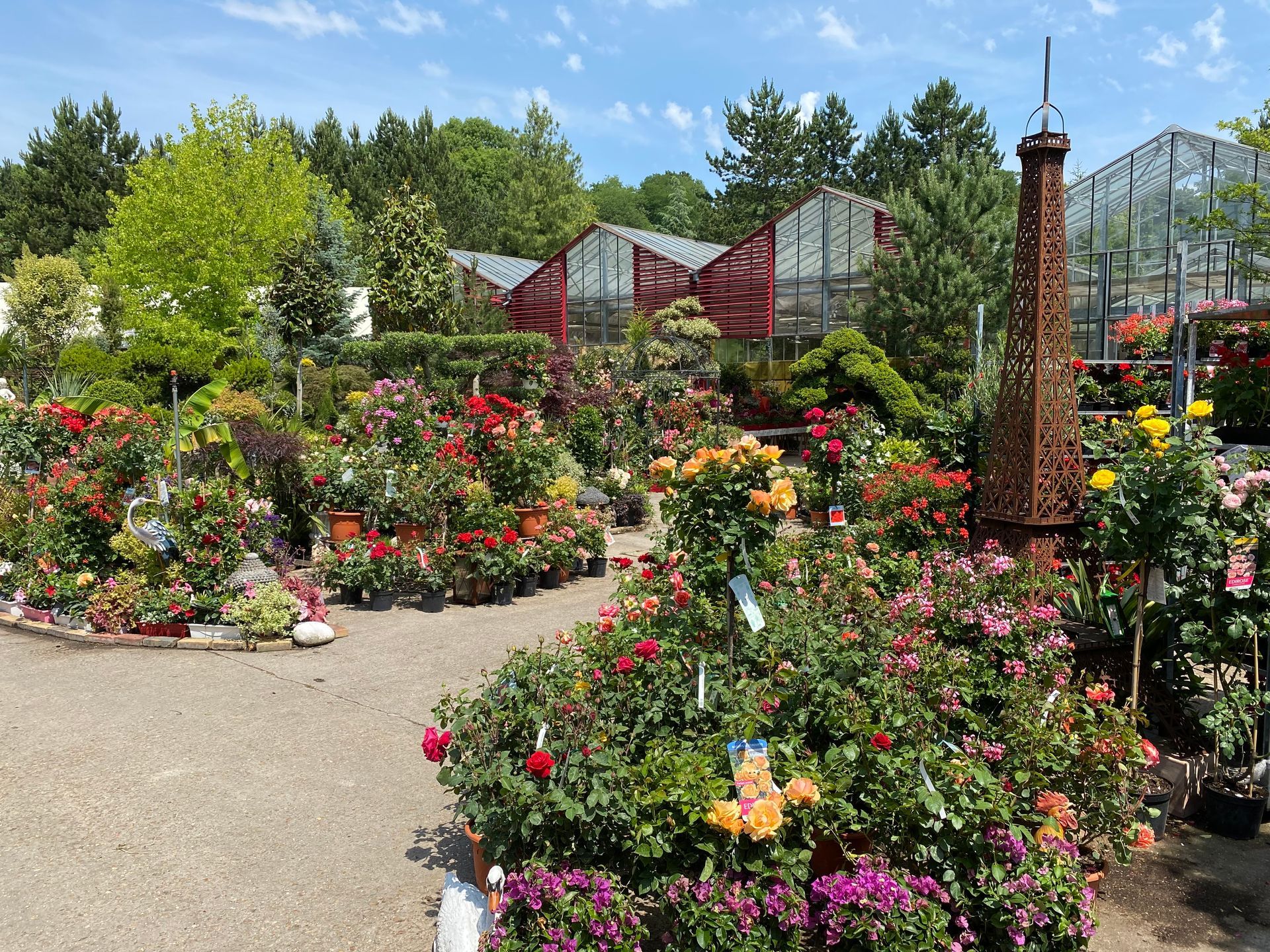 Fleurs du parc paysager