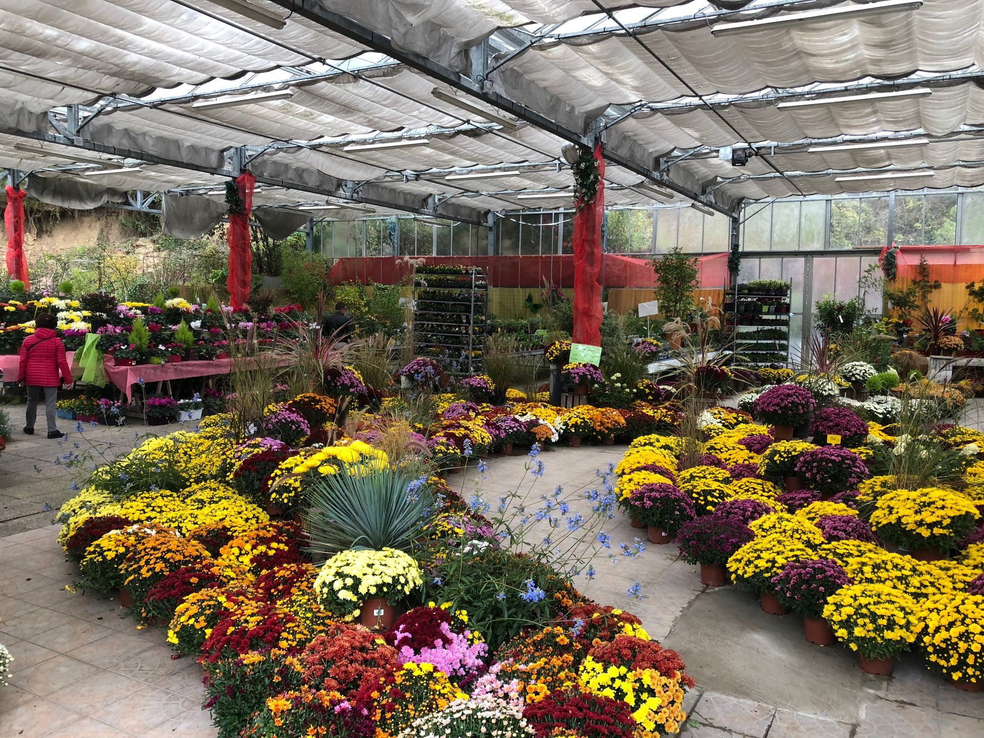 Fleurs en majorité jaunes