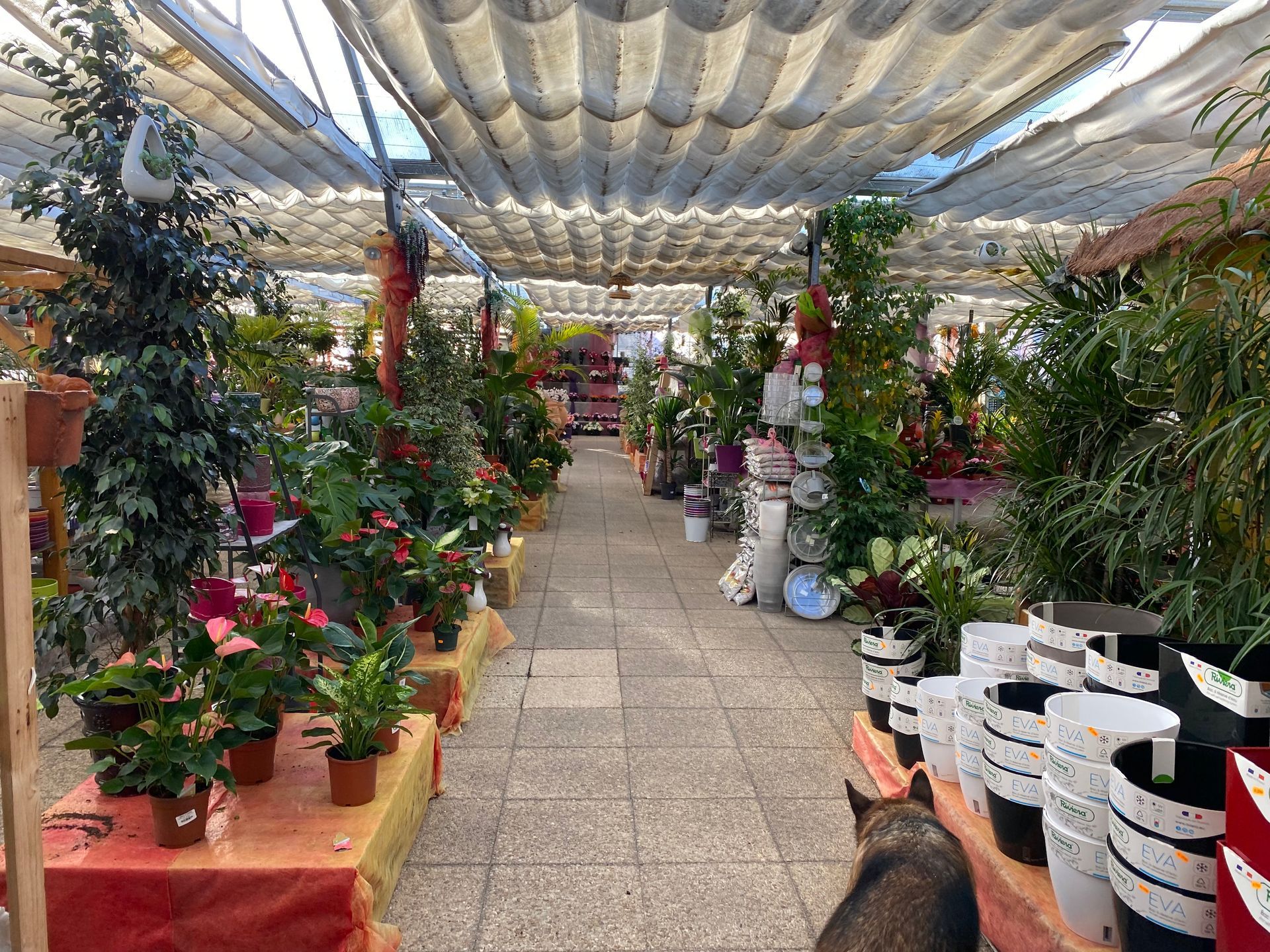 Allée intérieur de la jardinerie