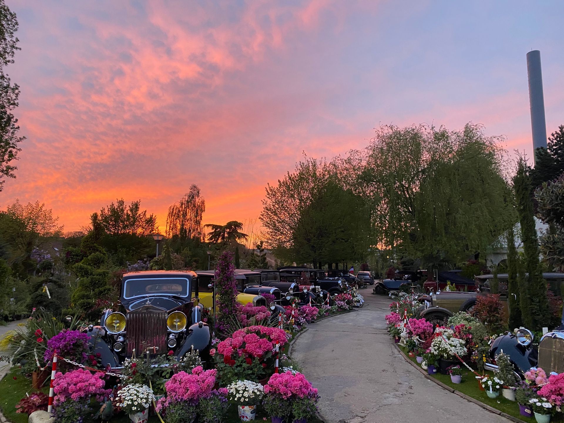 Allée de la jardinerie au coucher du soleil