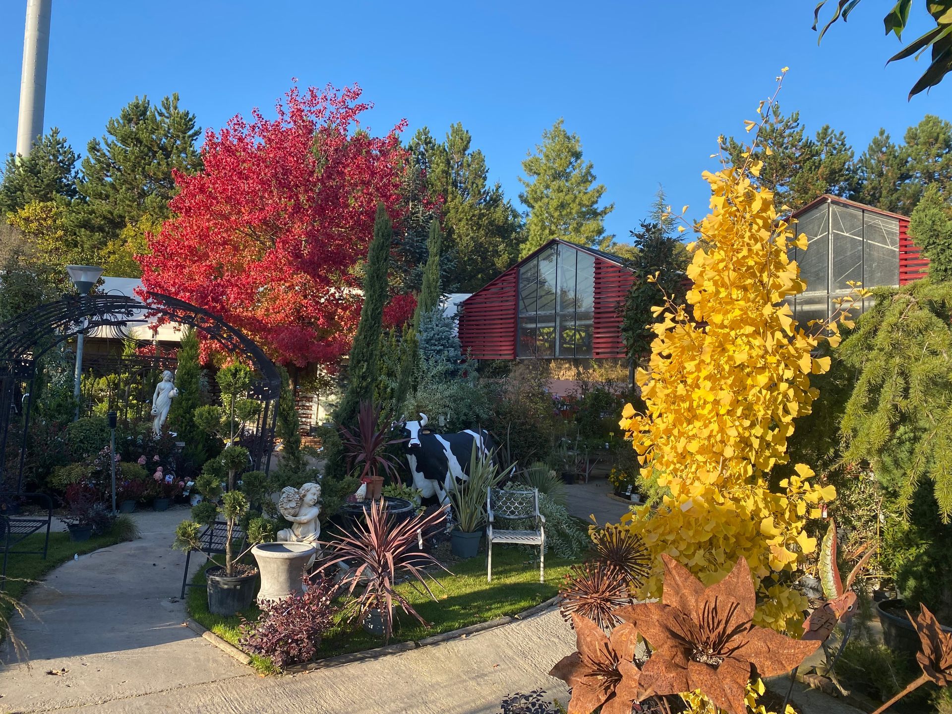 Arbres aux feuilles de couleur