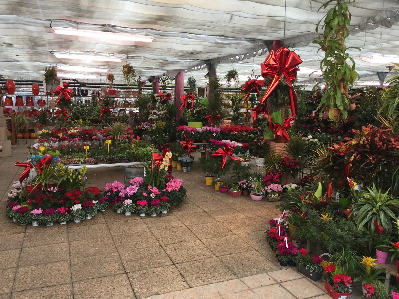 Intérieur de la serre