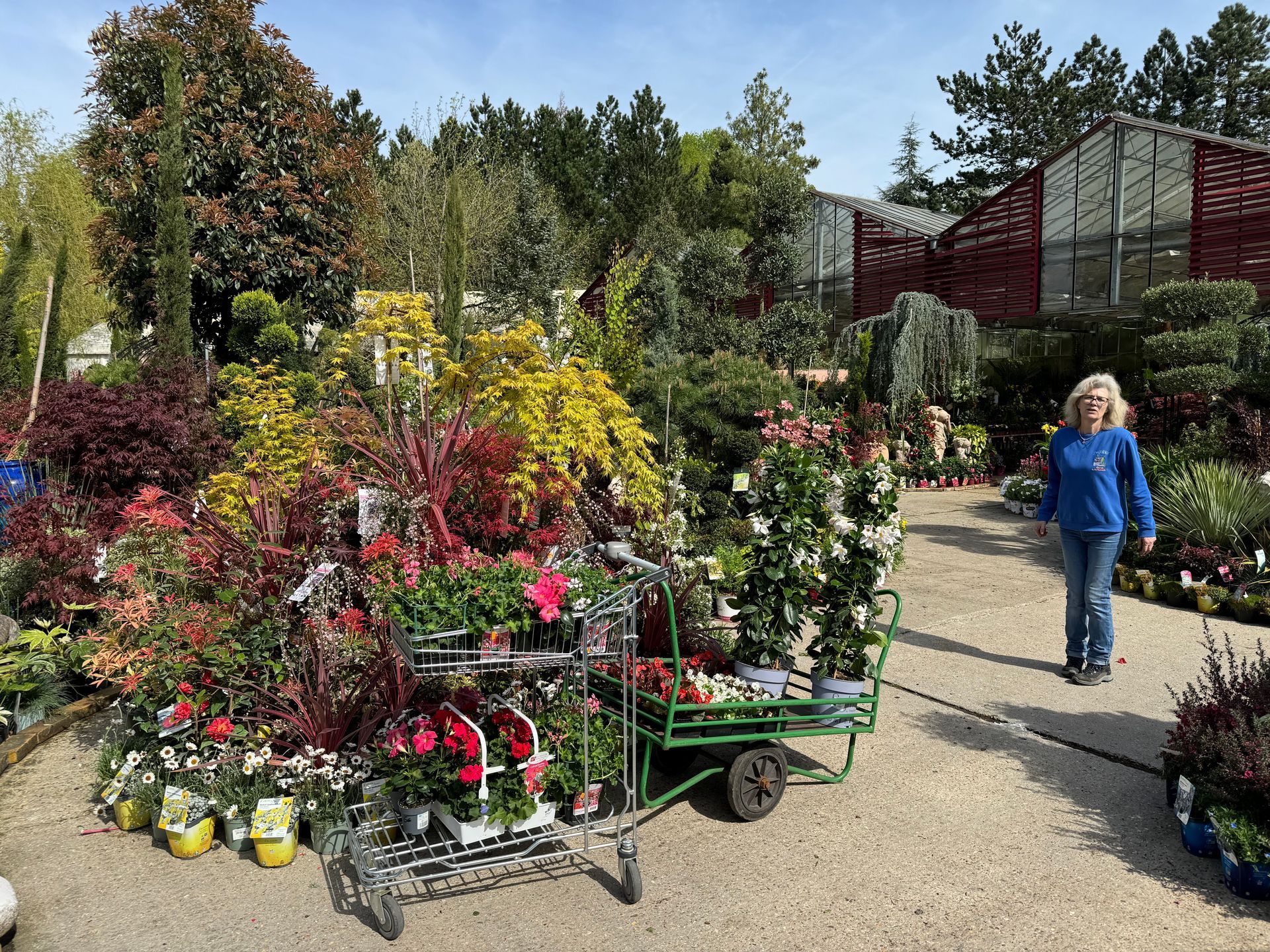 Femme dans une allée de la jardinerie