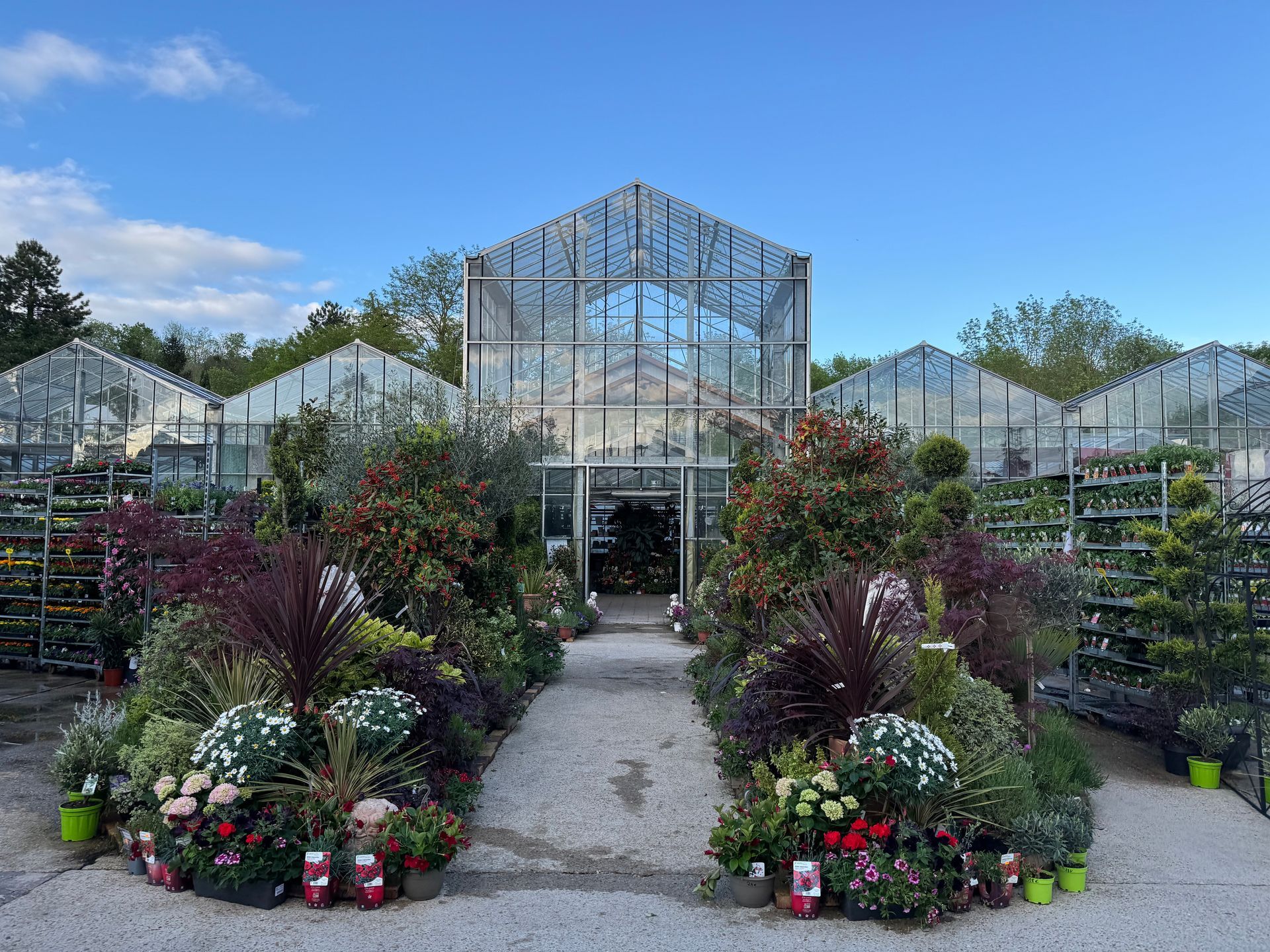 Allée menant à une serre