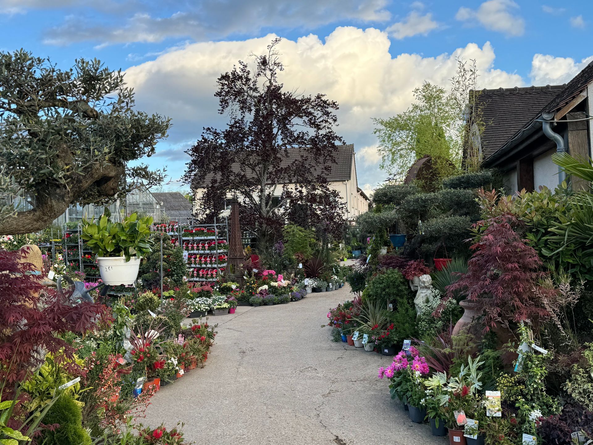 Allée de la jardinerie