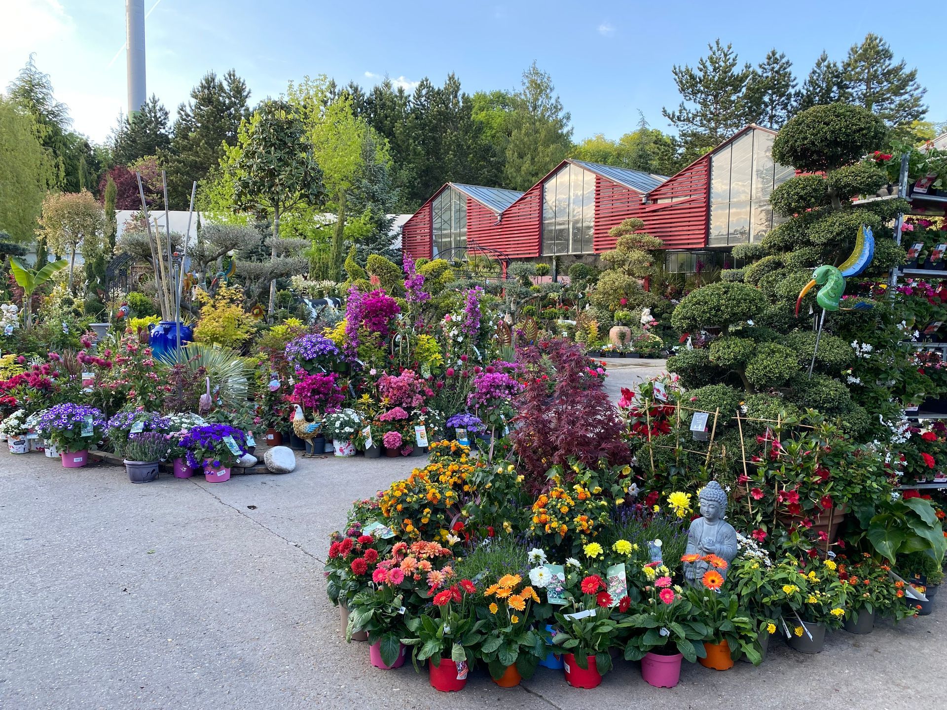 Parterre de fleurs fleuries