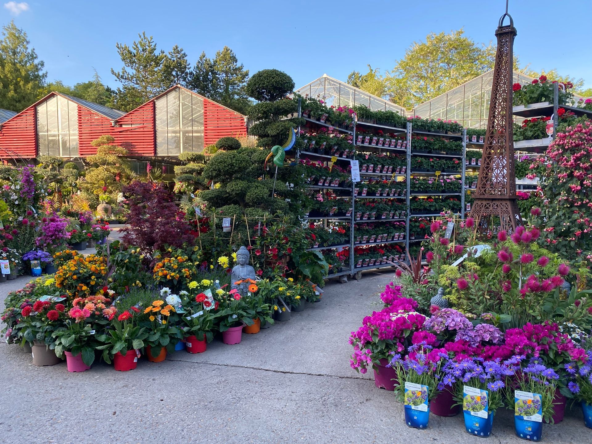 Différentes plantes fleuries à l'extérieur 