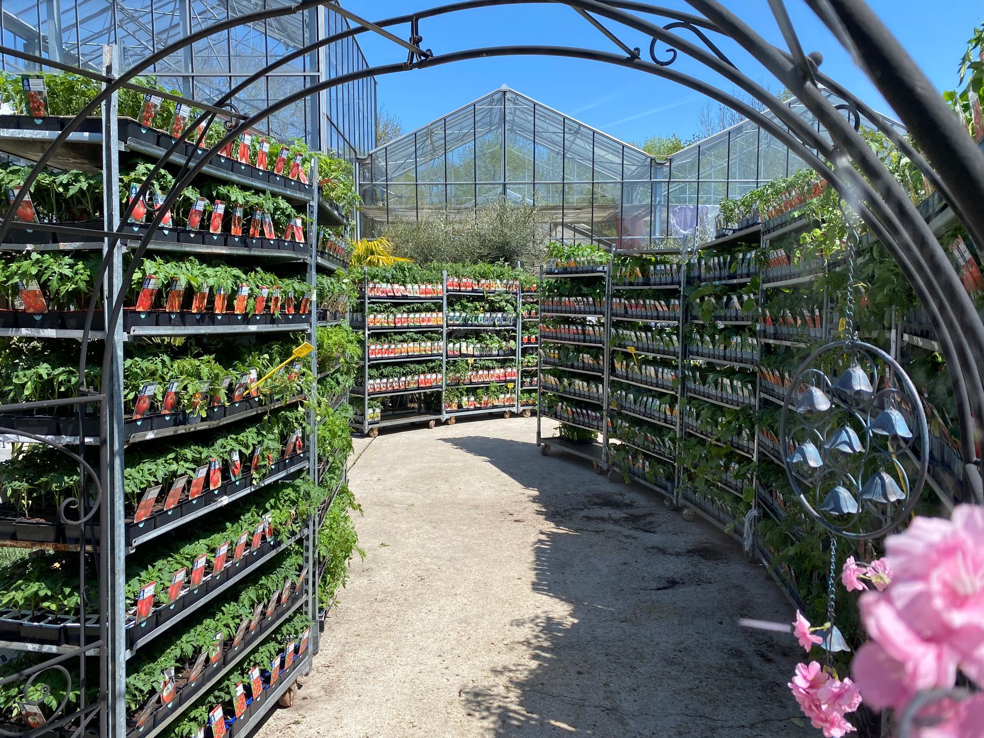 Rolls remplis de plantes en pot