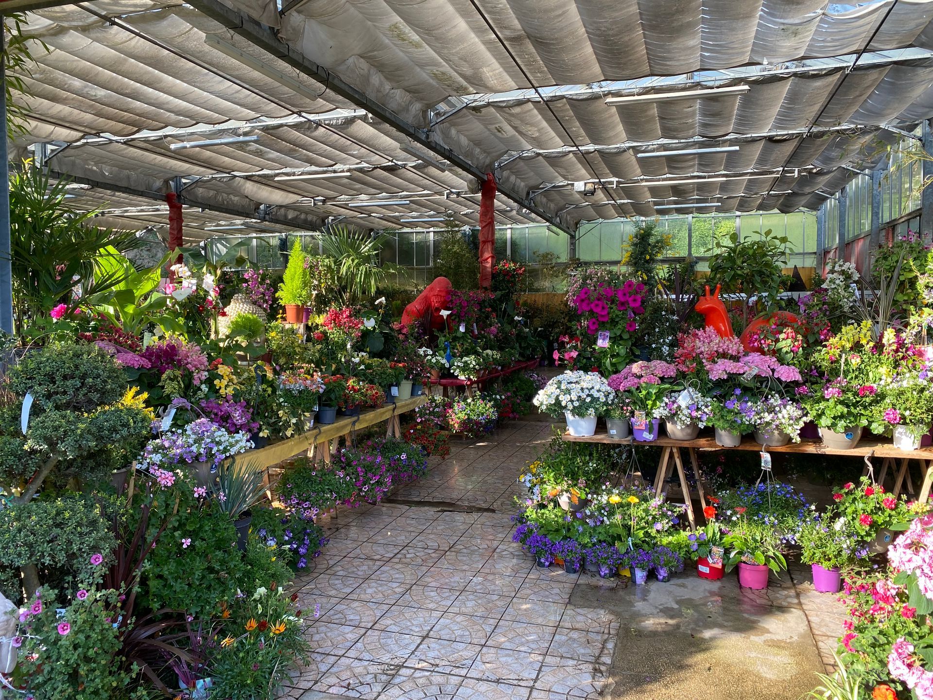 Fleurs de toutes les couleurs