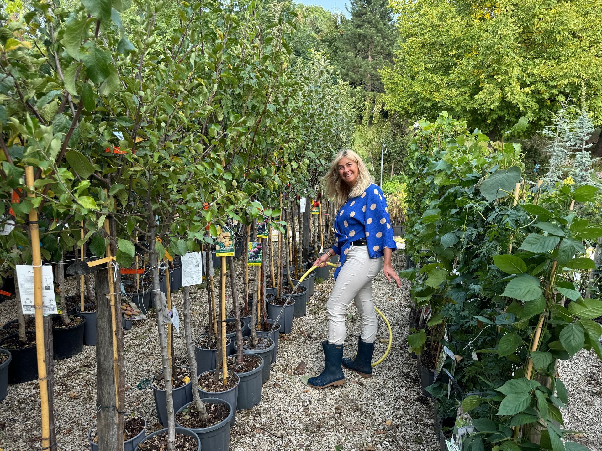 Femme en train d'arroser des arbustes