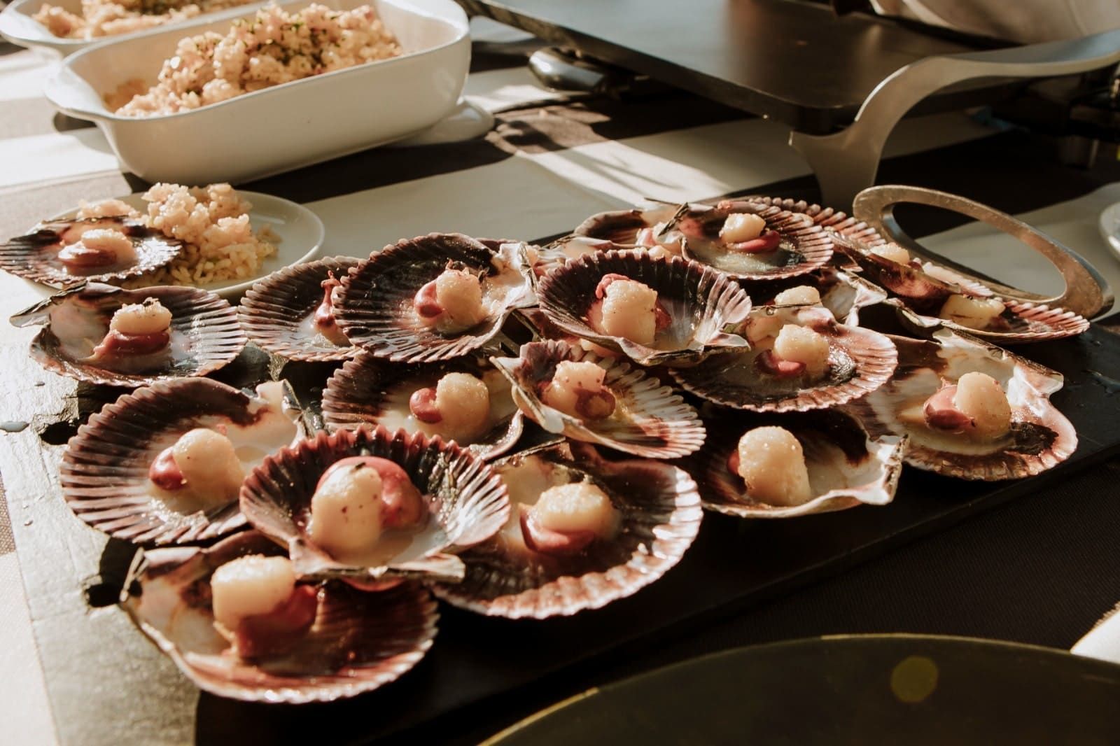 Una bandeja oscura con muchas vieiras en sus conchas, y un cuenco de comida al fondo, borroso.