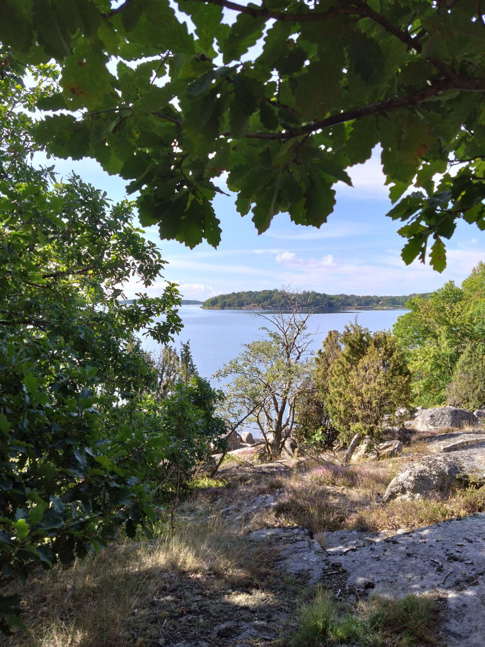 Findling, Skärva Naturreservat