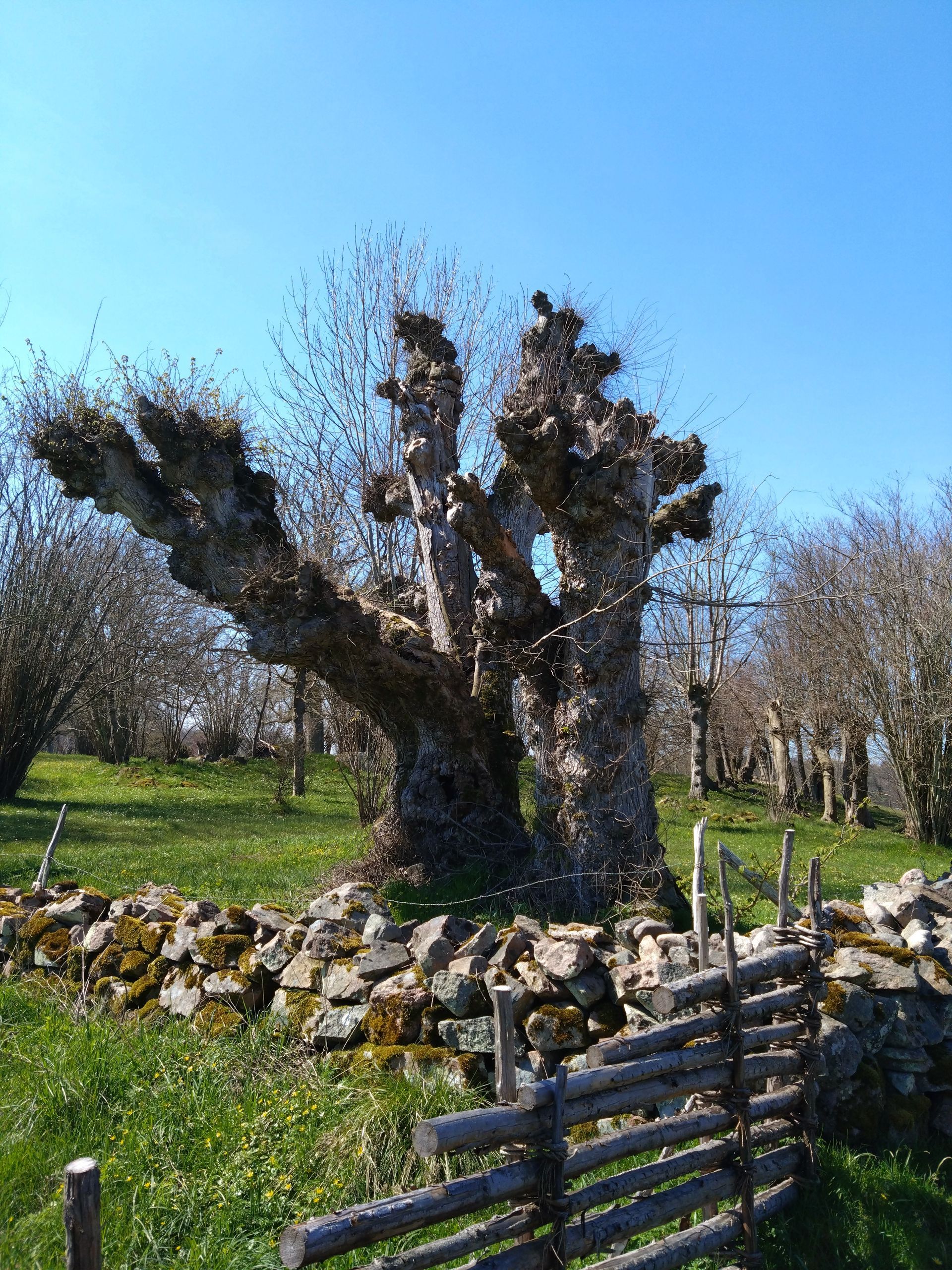 Torhamns Udde Naturreservat