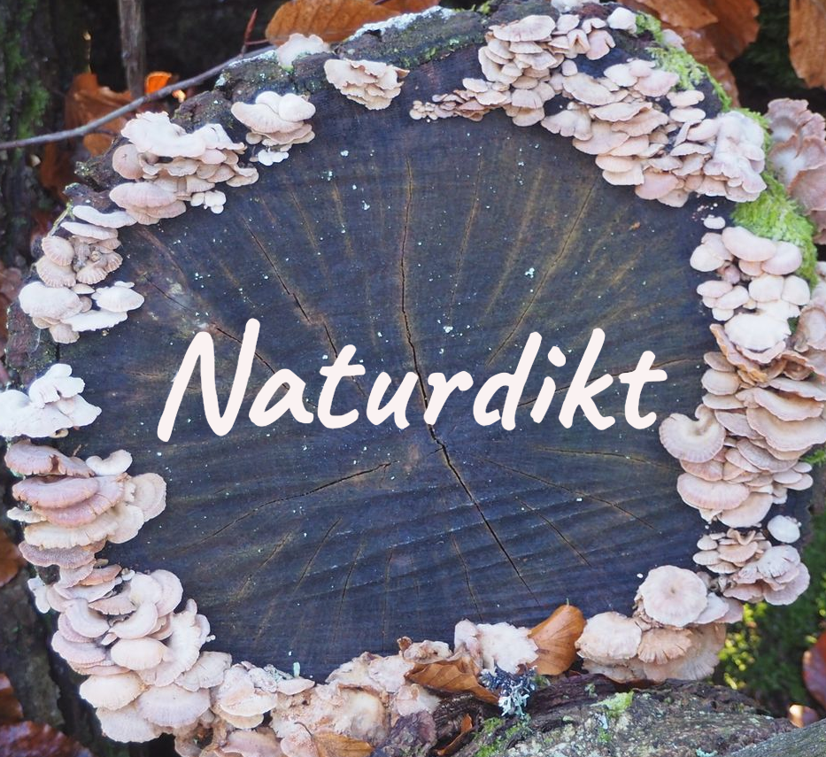 Logo www.naturdikt.com