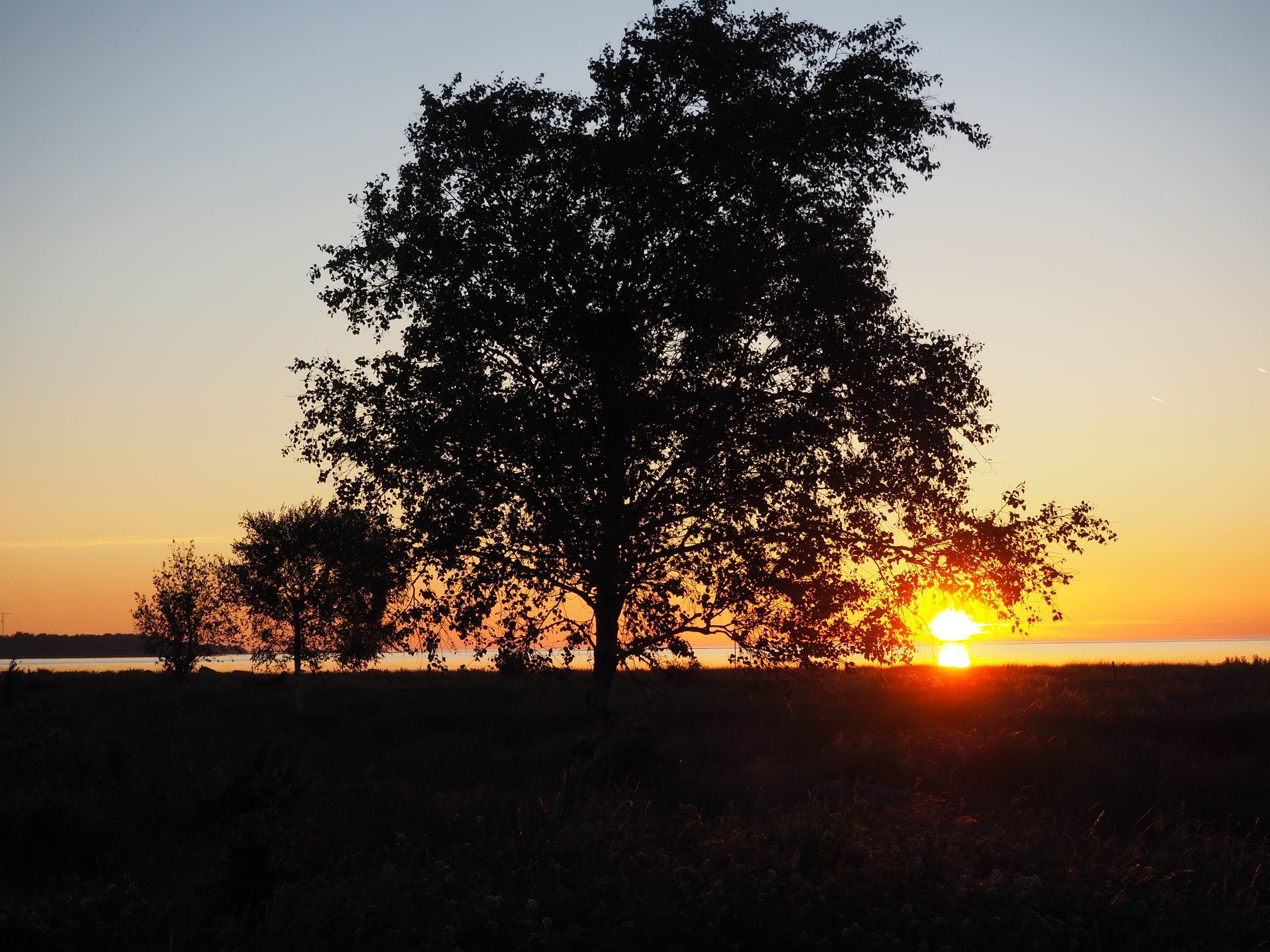 Sonnenaufgang Torhamns Udde Naturreservat