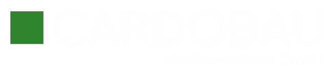 Auf weißem Hintergrund bewegt sich ein grünes Rechteck.