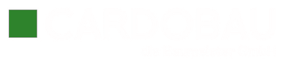 Auf weißem Hintergrund bewegt sich ein grünes Rechteck.