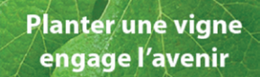 Planter une vigne engage l'avenir avec un fond de feuille.