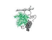 Grappe de raisin, Gomes Riondy Pépinières viticoles