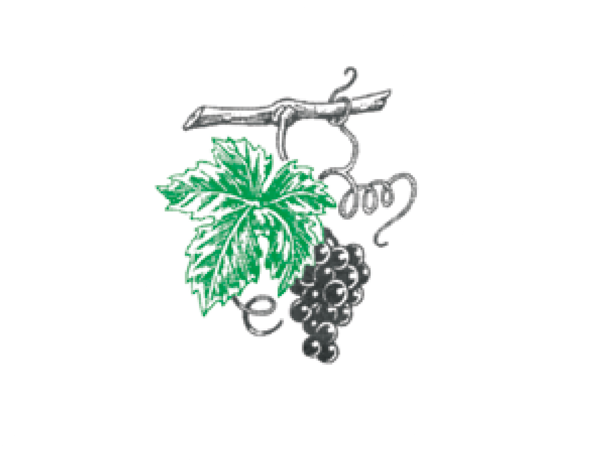 Grappe de raisin, Gomes Riondy Pépinières viticoles