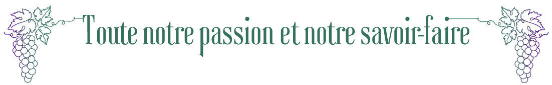Toute notre passion et notre savoir-faire avec une grappe de raisin à chaque bout.