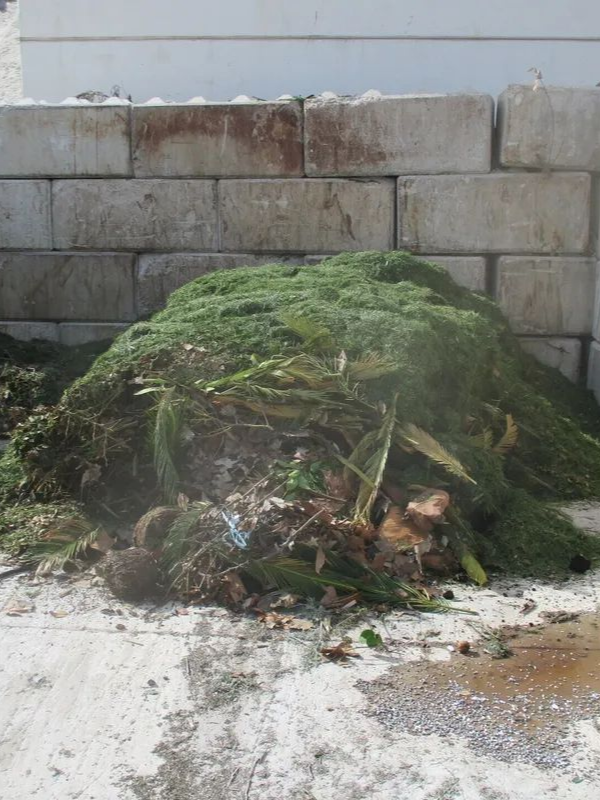 Déchets verts entreprosés en extérieur