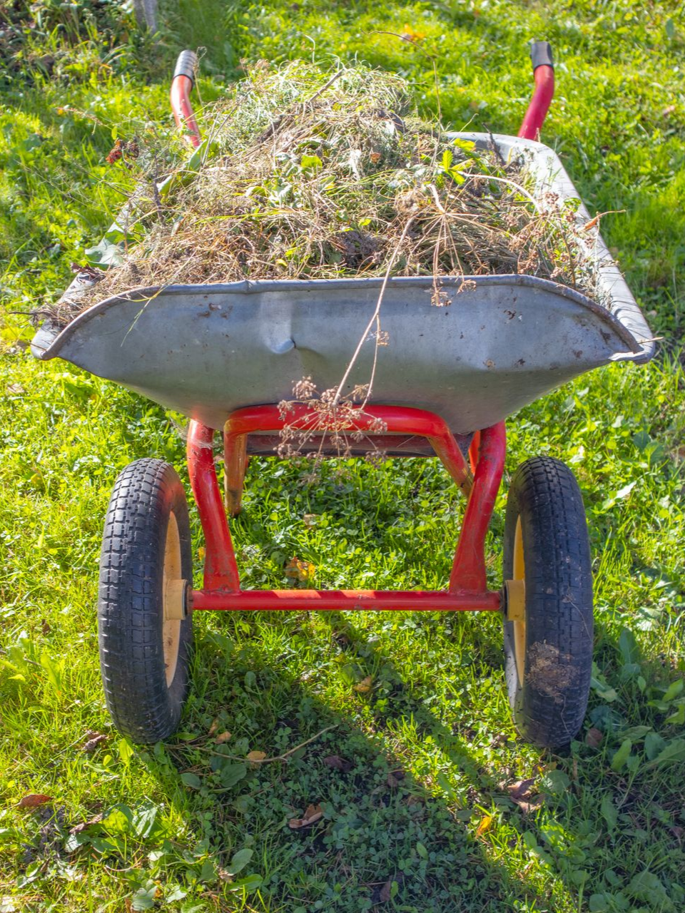 Brouette remplie de mauvaises herbes