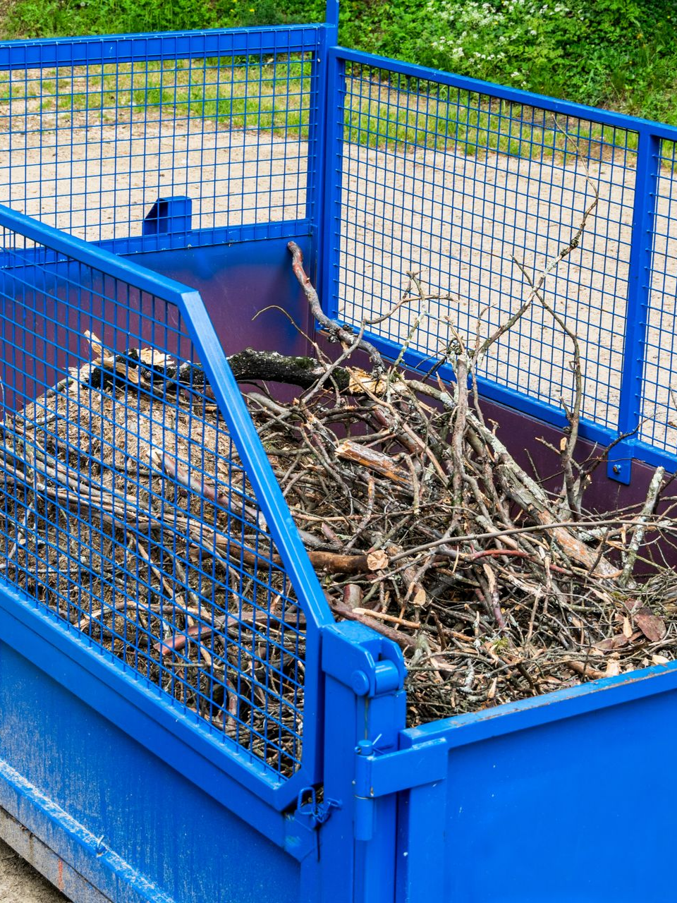 Branches dans une benne bleue