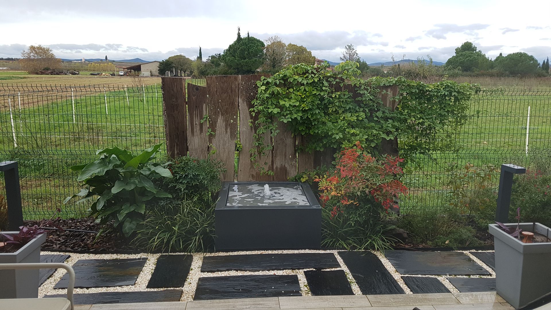 Un jardin dallé avec des plantes.
