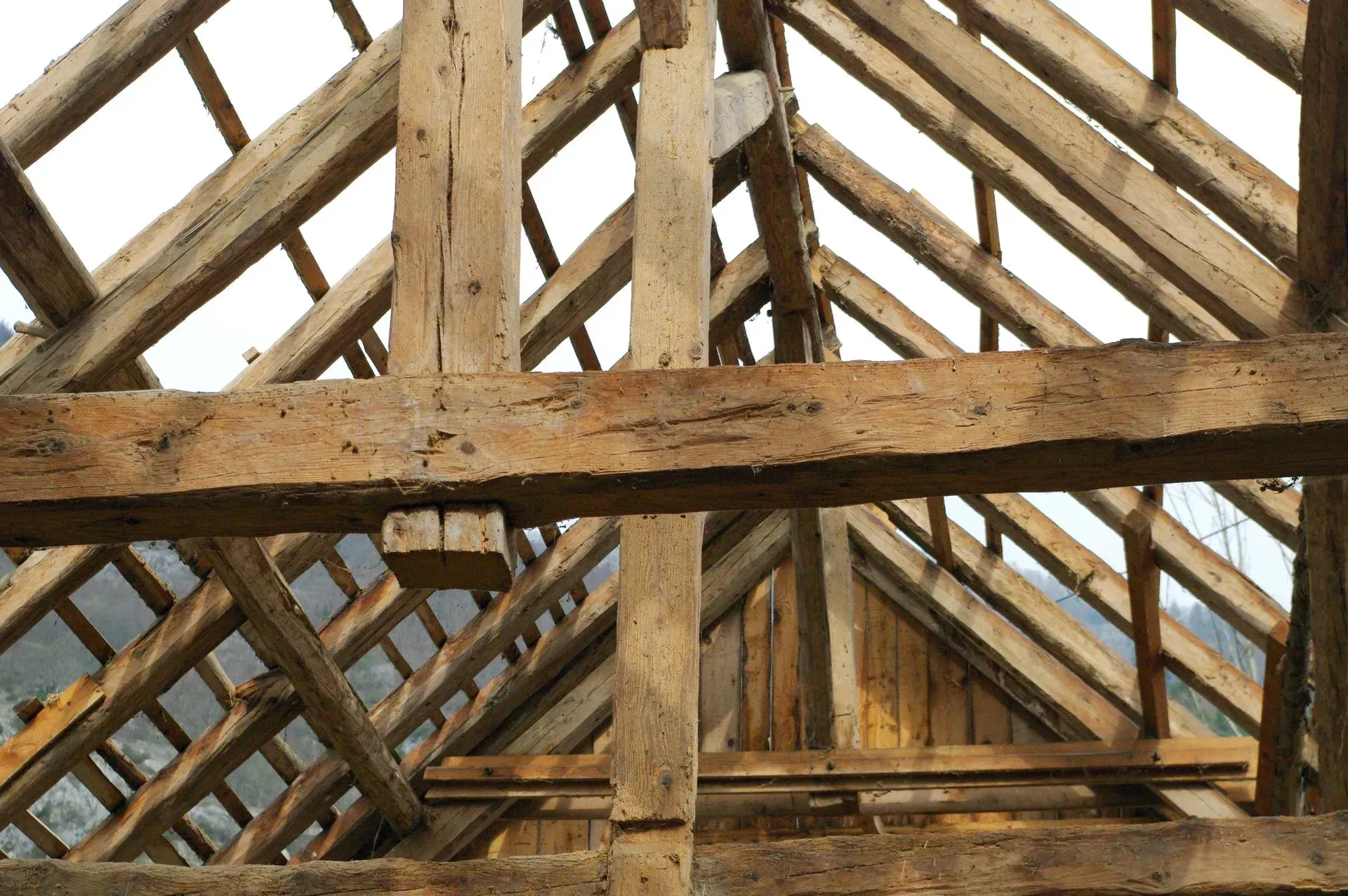 Chevrons en bois d'une charpente de bâtiment, inclinés et entrecroisés, vus d'en bas.