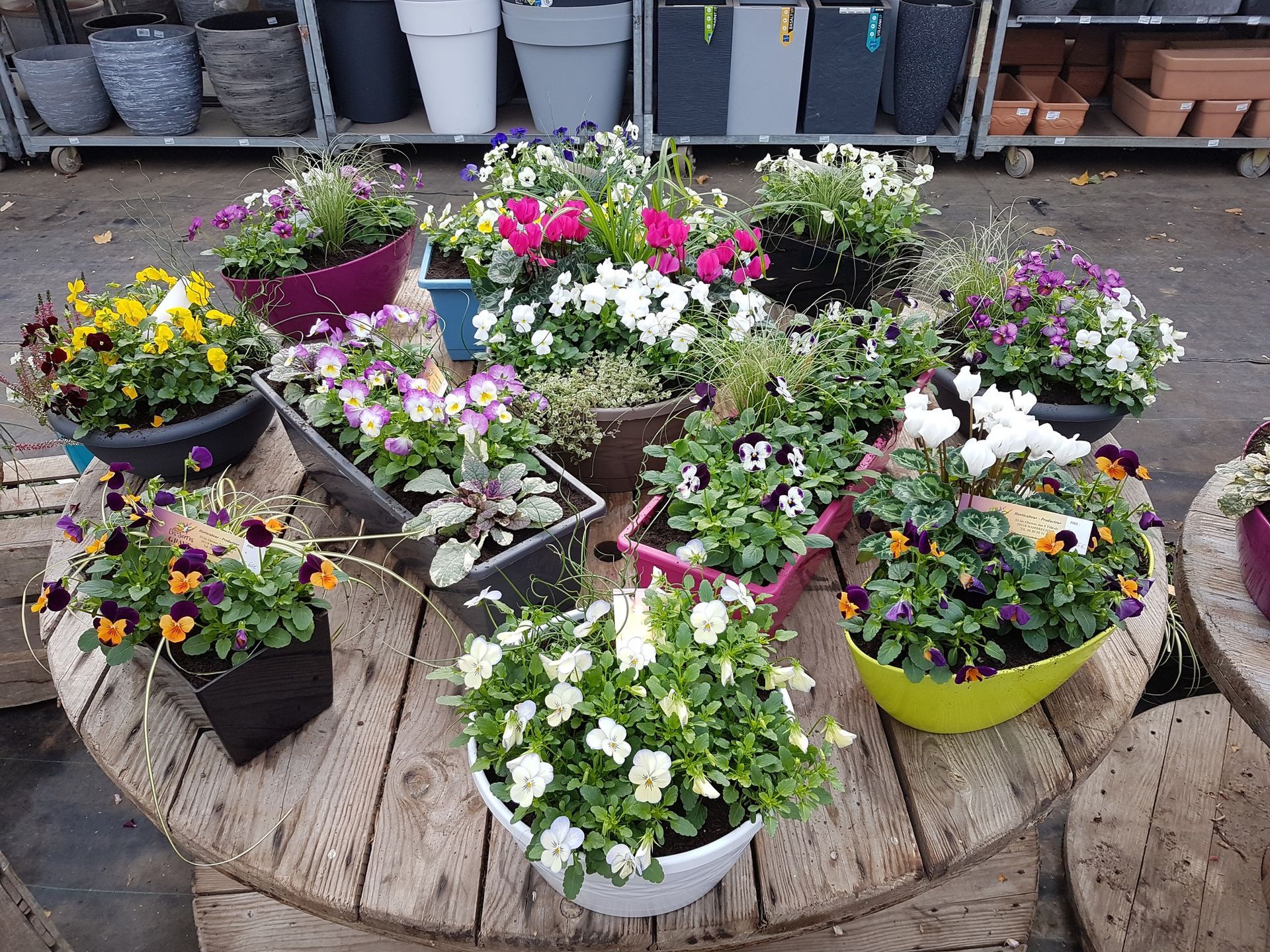 Compositions florales à la vente