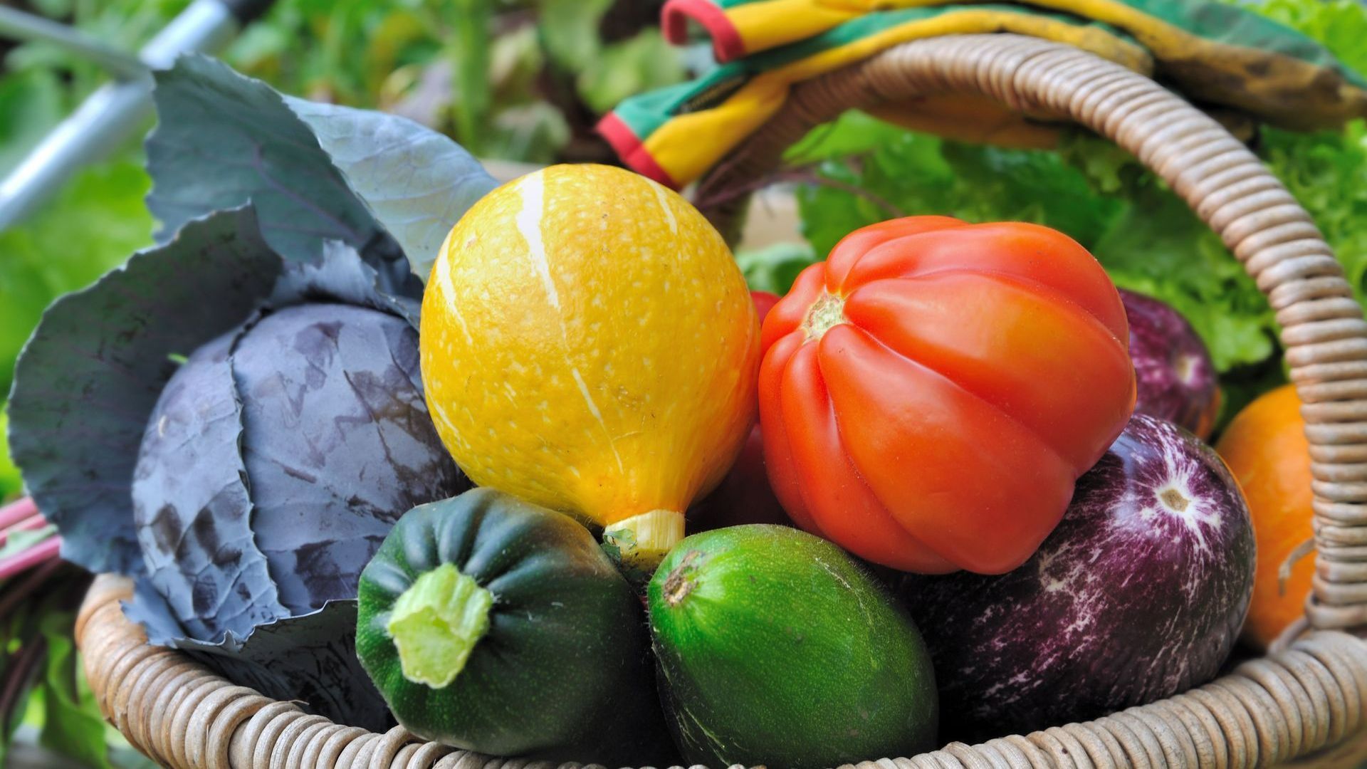 Panier de légumes de saison