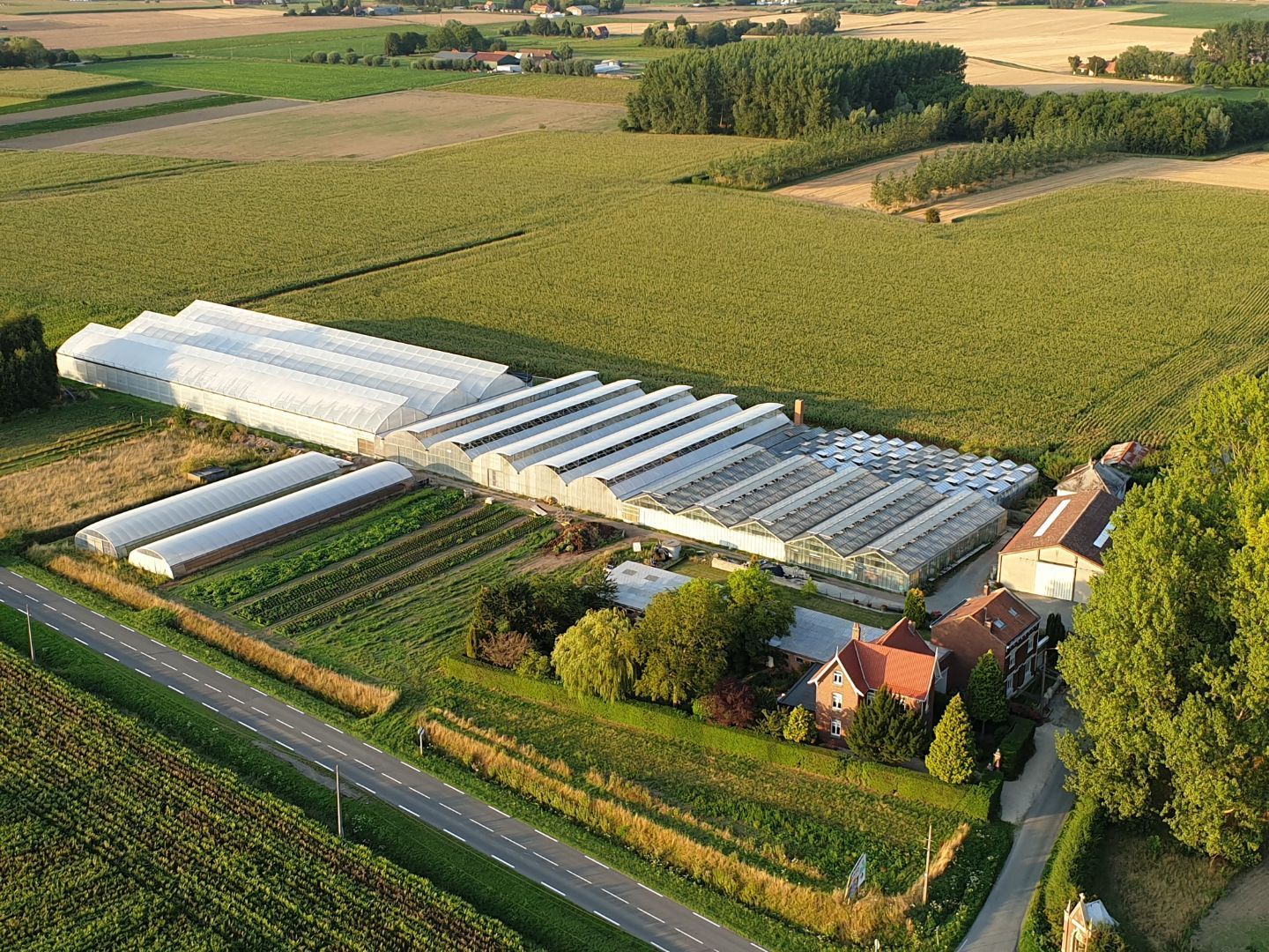 Vue aérienne des serres