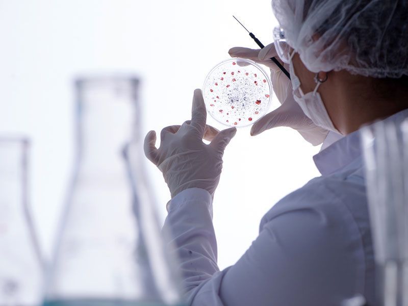 contrôles sanitaire