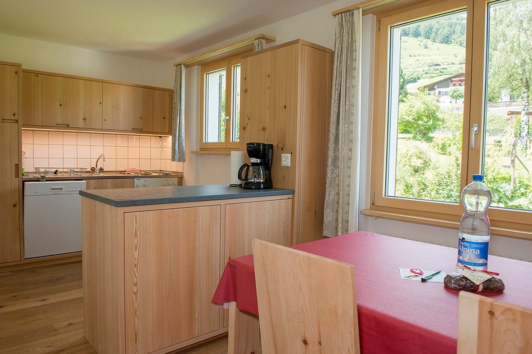 Lanius - Ferienwohnungen Scuol - Scuol