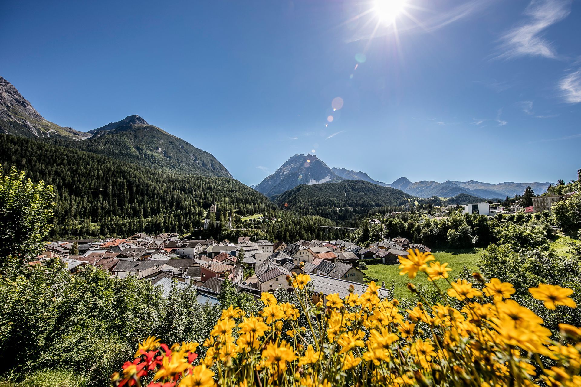 Ein Dorf in den Bergen mit Blumen im Vordergrund und Bergen im Hintergrund.