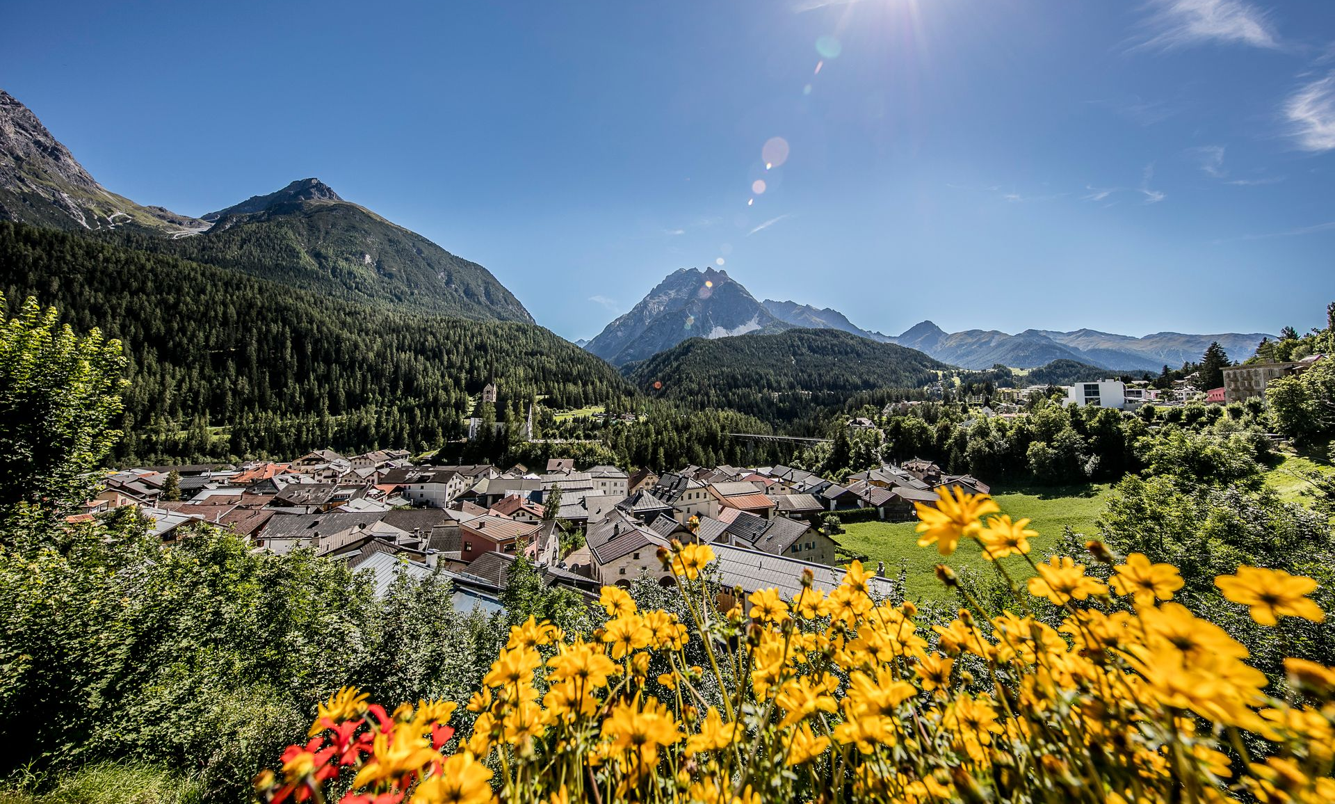 Ein Dorf in den Bergen mit Blumen im Vordergrund und Bergen im Hintergrund.